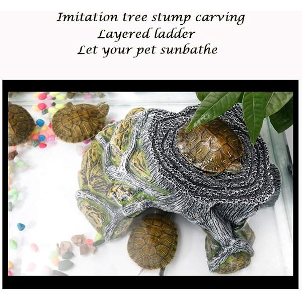 Skildpaddehelligdom Terrarium Land Hule Krybdyr Rampe Platform Helligdom