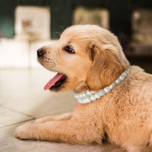 Halsband med pärlor och kristall strass diamanter för hund och katt,