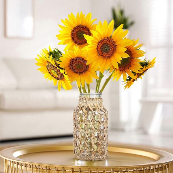 1 st rottingvävd glasvas Kreativ skrivbordsvas Blomsterarrangemangbehållare