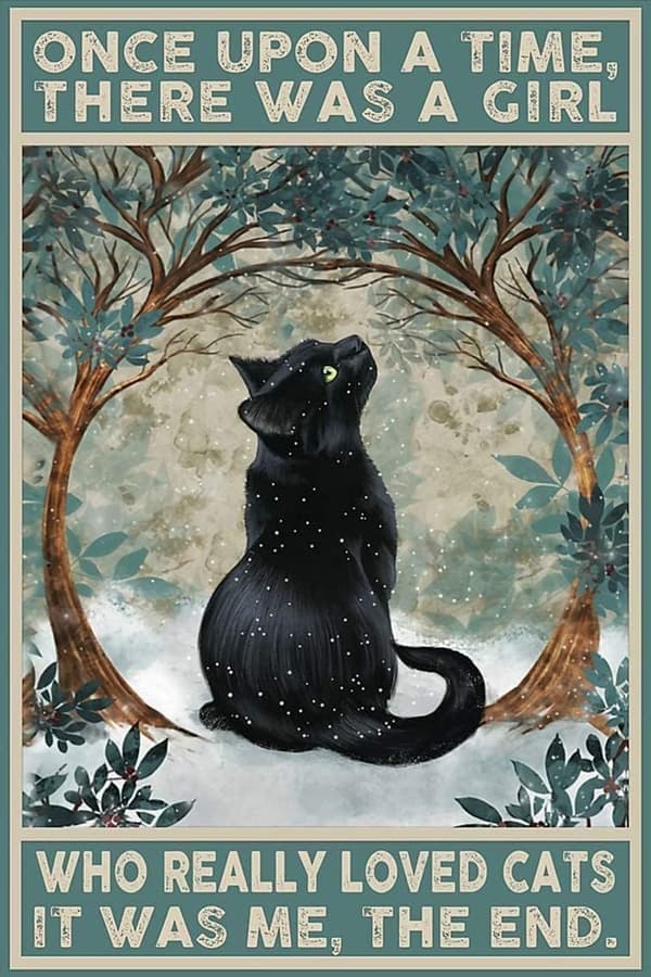 My cat story diamantkunstsett, 5D-maling, full diamant rund veggdekorasjon