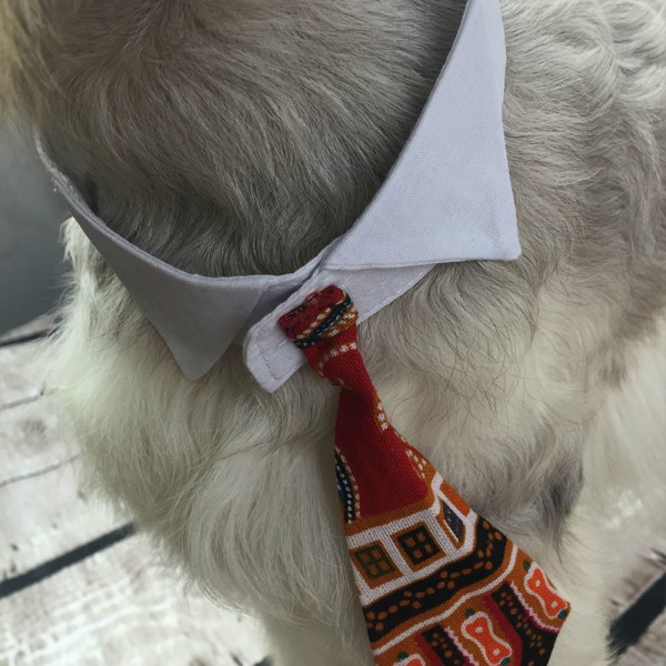 Justerbar Husdjur Hund Katt fluga Husdjur Kostym Slips Halsband för