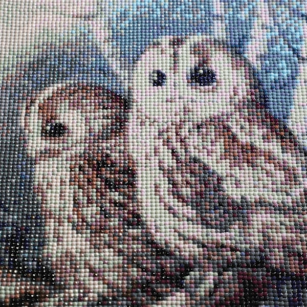 Måla efter siffror för vuxna, Diamond painting Uggla Diamantmålning