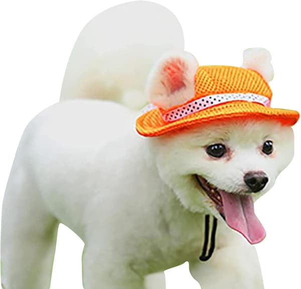 Hundesolhatt Oransje Solhatt i netting