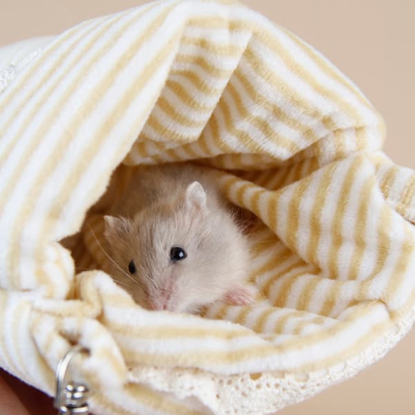 3 hamsterin pesää, hamsterin makuupussia