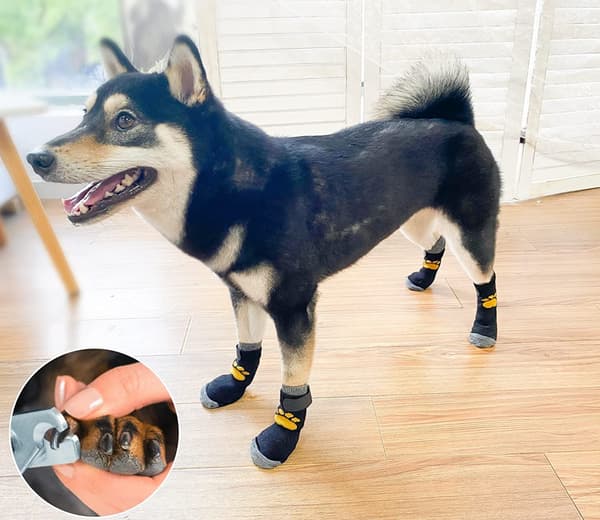 4-pack halkfria strumpor för hundar och katter