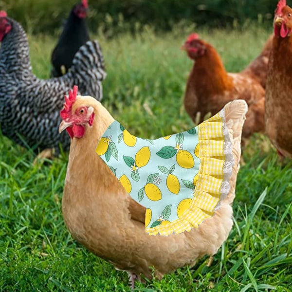 3 stycken kycklingsadel-hönsförkläde, kycklingjacka hönsförkläde