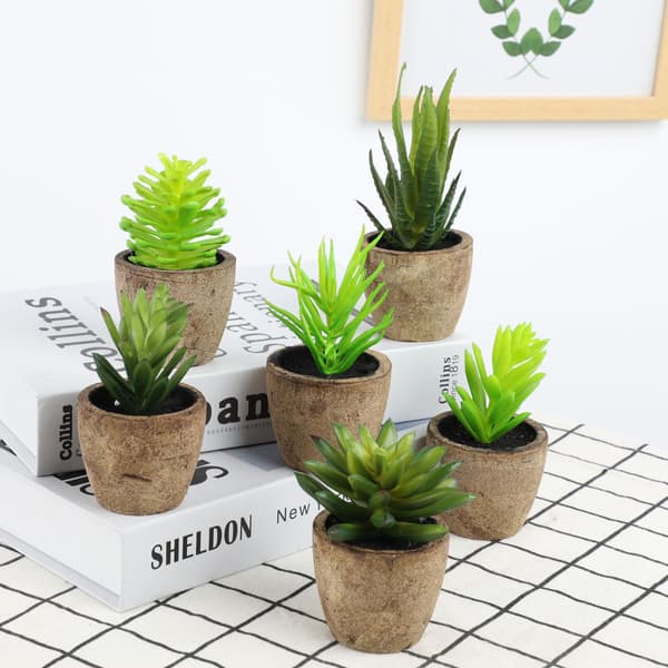 Set med 2 konstgjorda plastsucculenter med blomkruka 12cm