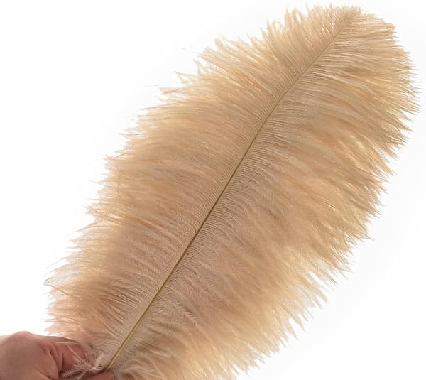 24 stykker 25-30 cm (10-12 tommer) naturlige hvide strudsefjer til