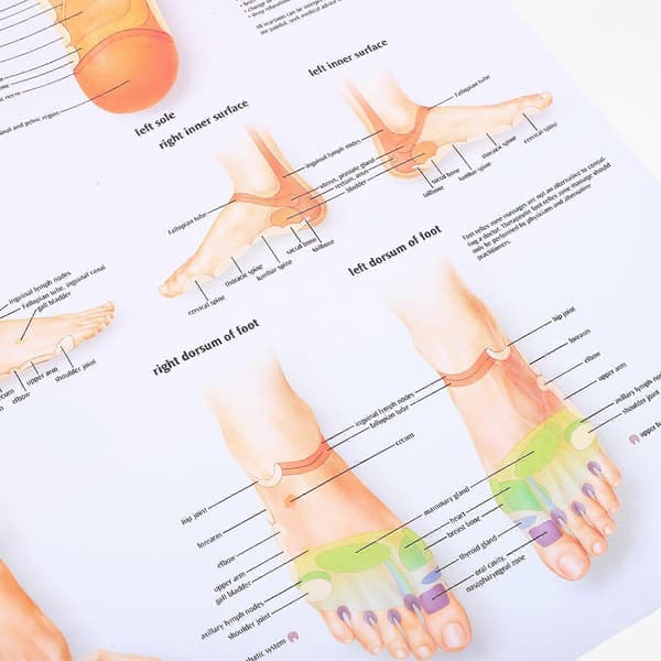 Fotreflexologikarta Affisch Massage Kunskap Affisch Väggkonst Hemmakontorsdekoration