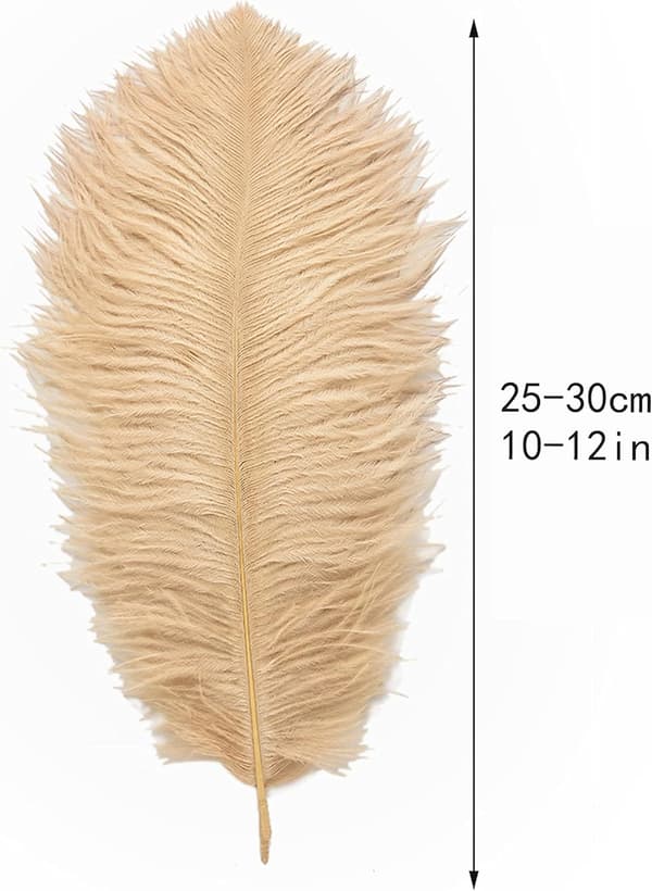 24 stykker 25-30 cm (10-12 tommer) naturlige hvide strudsefjer til