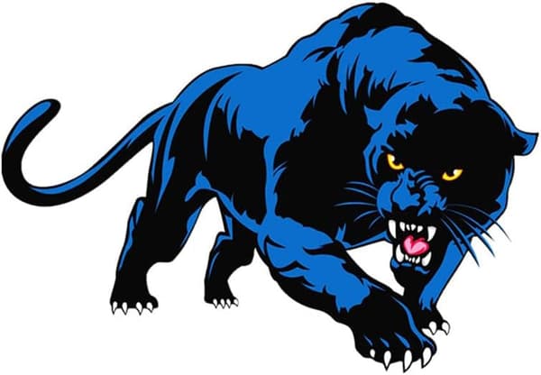 Dyresti๊กเกอร์, Dekorasjonsstikker for bil Panther Bilstikker 3D S