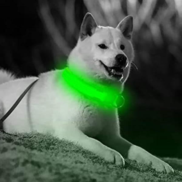 LED-hundhalsband, USB -uppladdningsbart glödande säkerhetshalsband för djur,