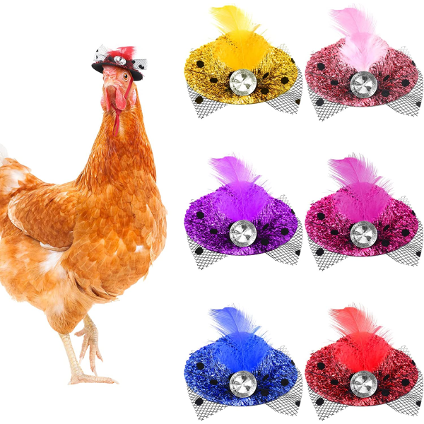6st Fashion Chick Hat | Små husdjur roliga kycklingtillbehör