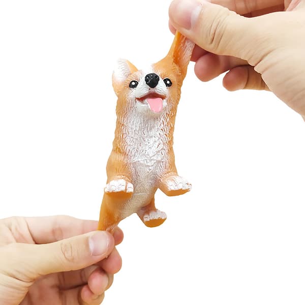 Corgi Lala Dekompressionshund, Dekompressionsmopsracket, Söta Valpar