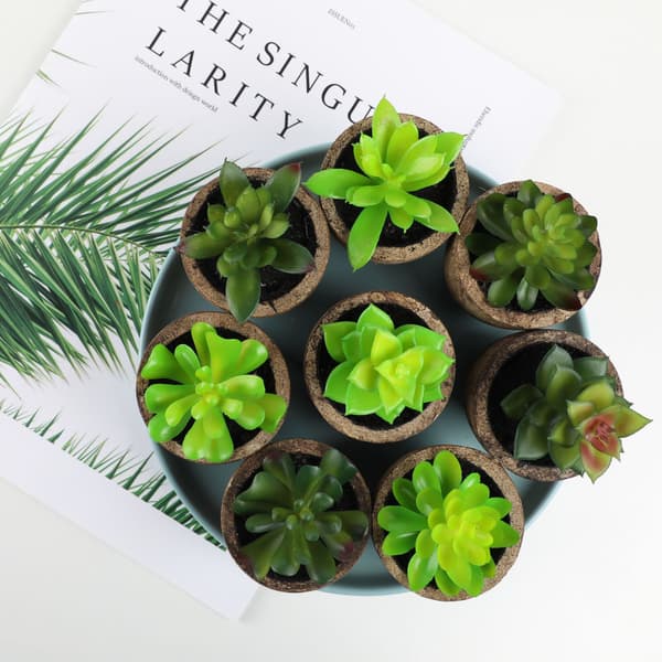 Set med 2 konstgjorda plastsucculenter med blomkruka 12cm