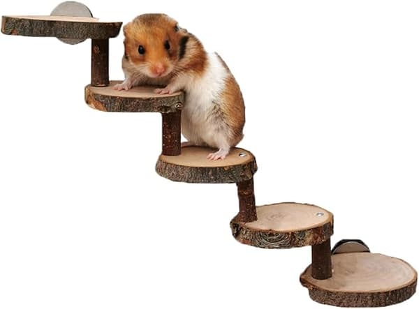 Hamster Tuggleksaker Träleksak, Hamsterstege, Hamster Klätterleksak