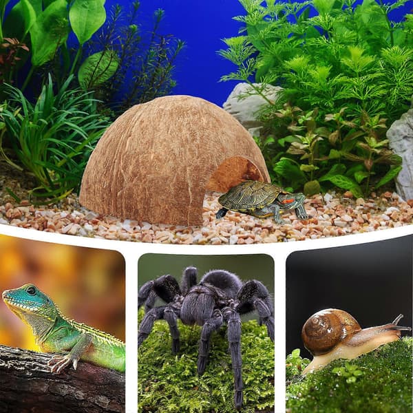 Kokosnøttskall Gjemmested Reptil Akvarium Gjemmested Dekorativt Reptil Gjemmested Reptilskjul