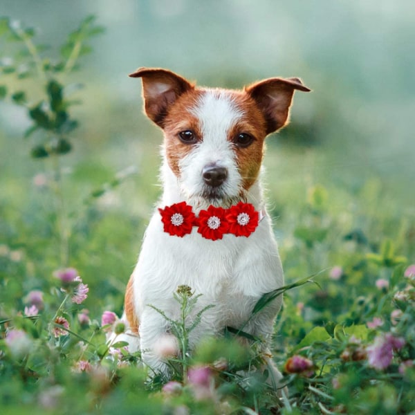 Hundbow tie Hundhalsband Diamant hundtillbehör Pet fluga hund
