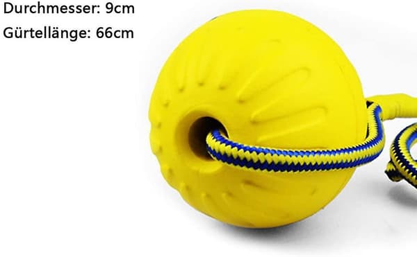 Kastboll, gummihundboll med elastiskt rep, hundleksaksboll (Y