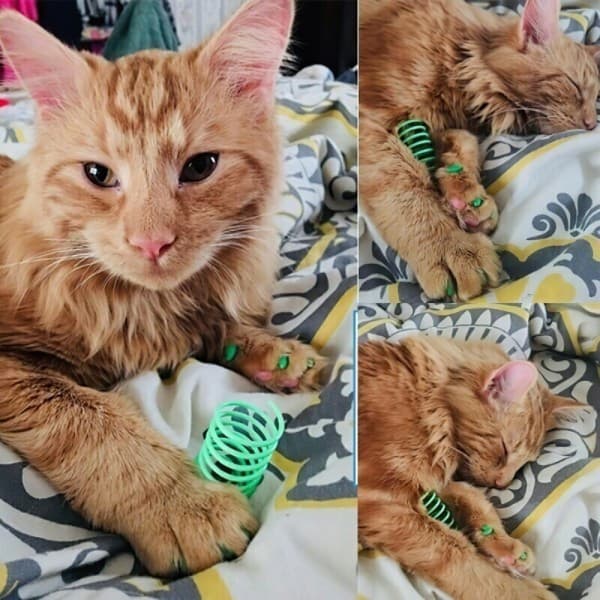 8 st färgglada kattfjäderleksaker i plast