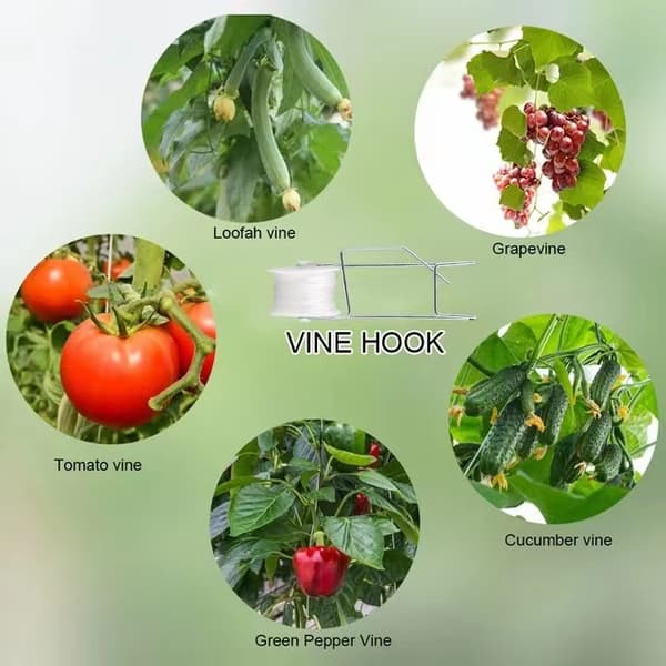 6-pack tomatstödkrokar med 15 m snöre, hållbart växthus T