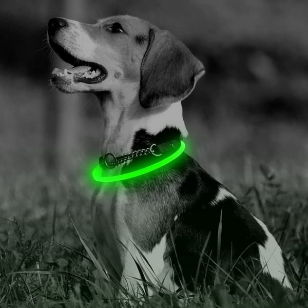 LED-hundhalsband - USB uppladdningsbart Light Up-hundhalsband Glow in