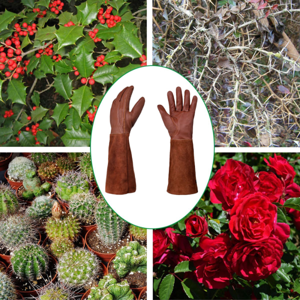 Törnbeständiga trädgårdshandskar för damer, trädgårdshandskar med långa handskar