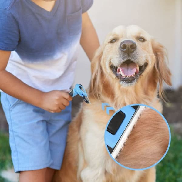Blå børste til hunde- og kattepleje, professionel børste