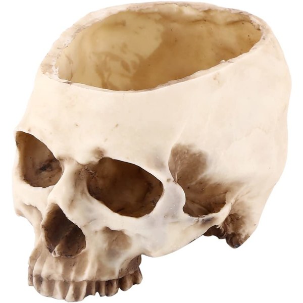 Halloween-dekorationer Skeleton Skeleton Skull-dekor i naturlig storlek