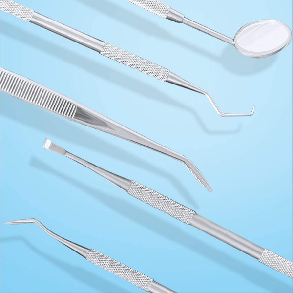 Professionella dentala verktyg hundtänder -tand scalers och skrapor
