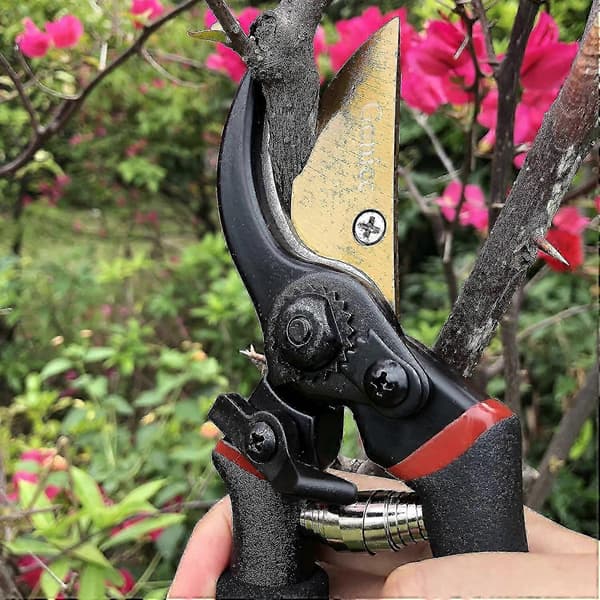 Blomstersaks for kutting av tørt tre. Ergonomiske håndtak