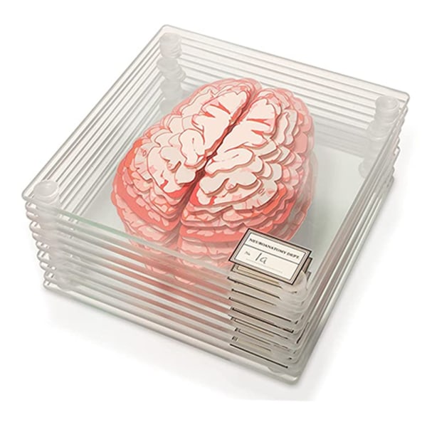 Gåvor Bästa glasunderlägg Thinking Geek Gifts 3D hjärnunderlägg