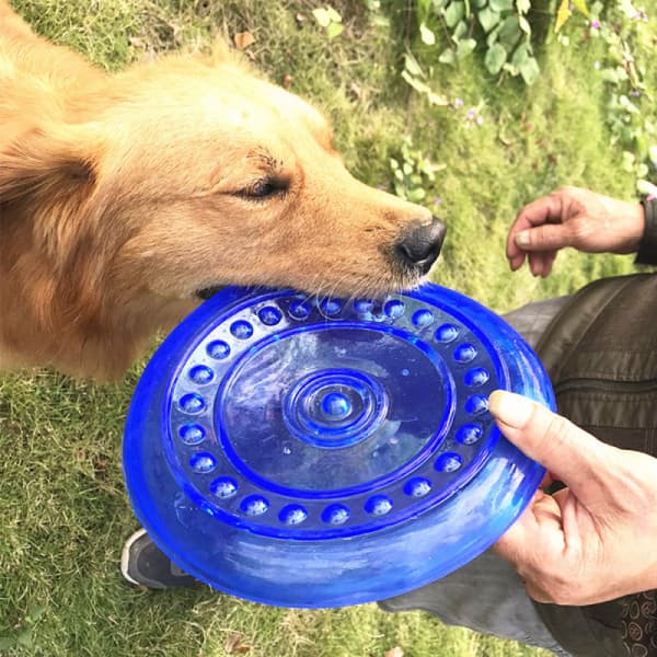 1 stycke stor hund flygande tefat TPR flygande tefat