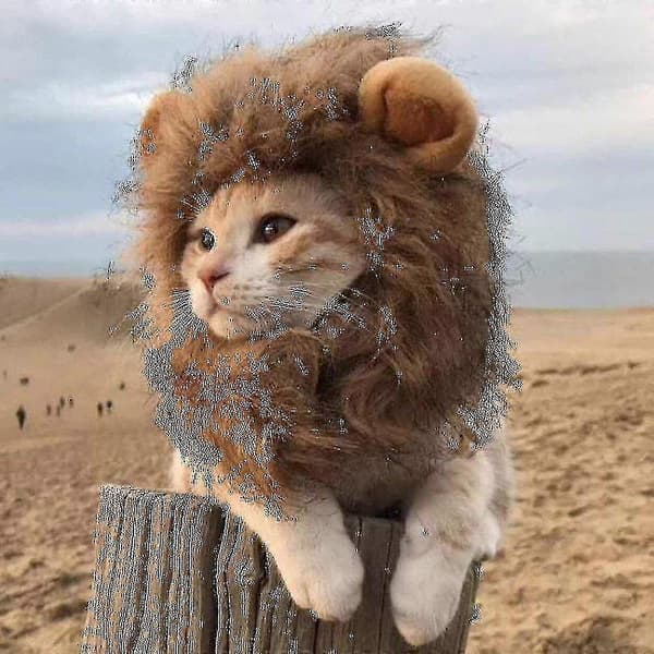 Roliga kläder för katter Lejonman kattdräkt Lejonperukmössa för juldjur Halloweenkostymer