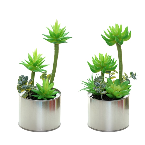 2st simuleringssuckulenter krukväxter kreativt mode hem