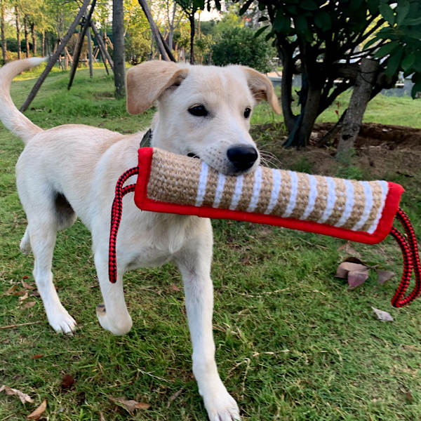 32 cm, (röd bindning) Jute Hundbitsocka, Extra Robust, Tålig Hund B