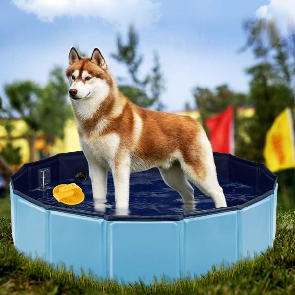 Hundpaddlingpool, 80x20CM PVC Hundpool Doggy Pool hopfällbar