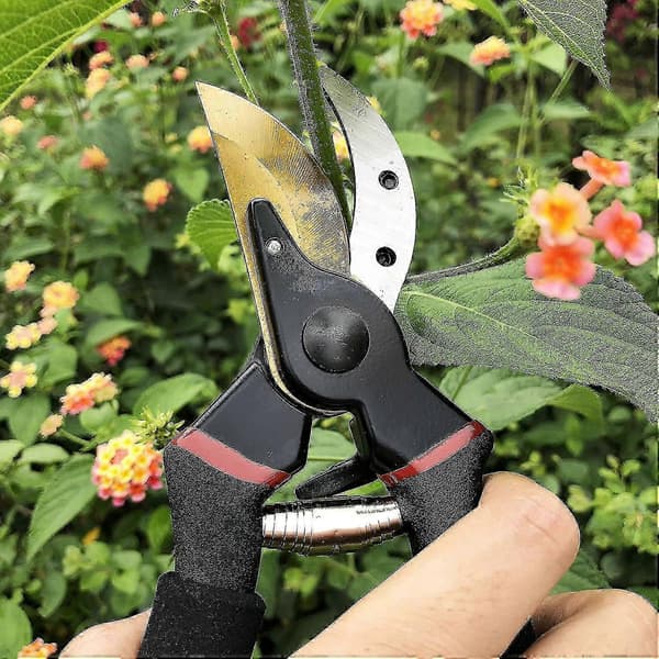 Blomstersaks for kutting av tørt tre. Ergonomiske håndtak