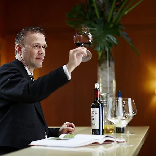 50 st Vin Hällpip Diskar Flexibla Droppstopp Vin Diskar Inga Droppar Droppstopp Och Hällpip Hem Bar Tillbehör För Vinflaskor Silver TY