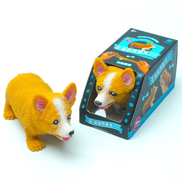 Corgi Lala dekompresjonshund, dekompresjon mops-racket, søt valp