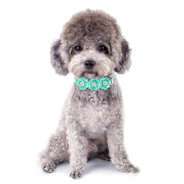 Hundbow tie Hundhalsband Diamant hundtillbehör Pet fluga hund multicolor  3af6 | multicolor | Fyndiq
