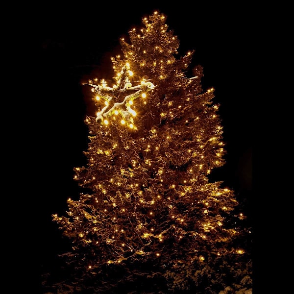 Utomhusdekoration, 200 LED Solcellsslinga för Trädgårdsfest Bröllop Födelsedag, Vattentät IP65 & Avancerad Solpanel, Lågvärme LED-lampor med 8