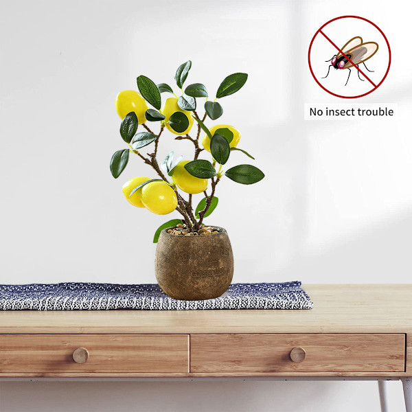 Fruktbonsai-simuleringsblomma kreativ simuleringsgrön växt heminredning grön växt krukväxt