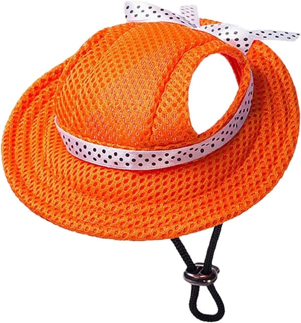 Orange hundesolhat i mesh