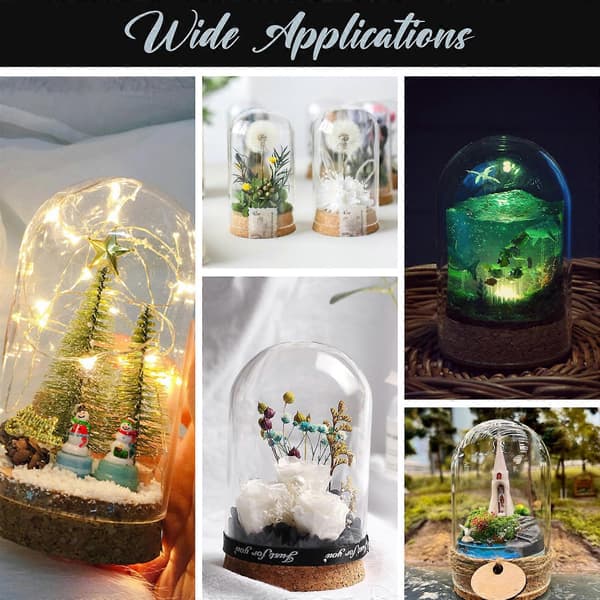 5 stk. Premium Glas Display Cover Opbevaringskrukke Beholder til Evig Blomst