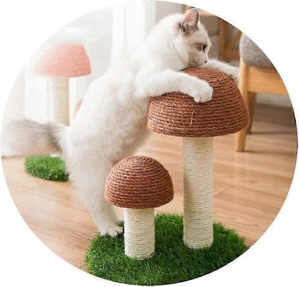 Kradsetræ til katte, Svampeformet kradselegetøj til katte og killinger, Naturlige sisal kradsetræer til katte
