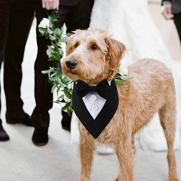 Hundhalsband Bandana, Hundfluga med Justerbar Formell Hund Bröllop Husdjur för Liten Medium Hund Födelsedagspresent