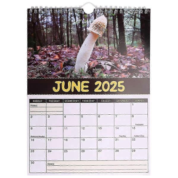 Verdens beste soppkalender 2025 Bring Joy & Stay Organized 2025 - Perfekt for julegaver