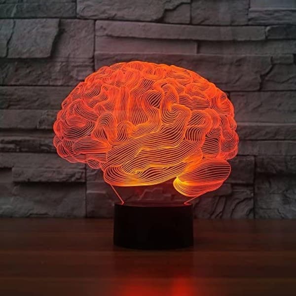 3D Menneskehjerne Natlampe 7/16 Farveskiftende LED Touch USB Bordlampe
