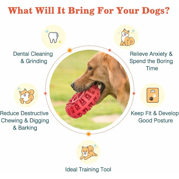 Slitesterk tyggeleke for hunder for aggressive tyggere, solid dekk